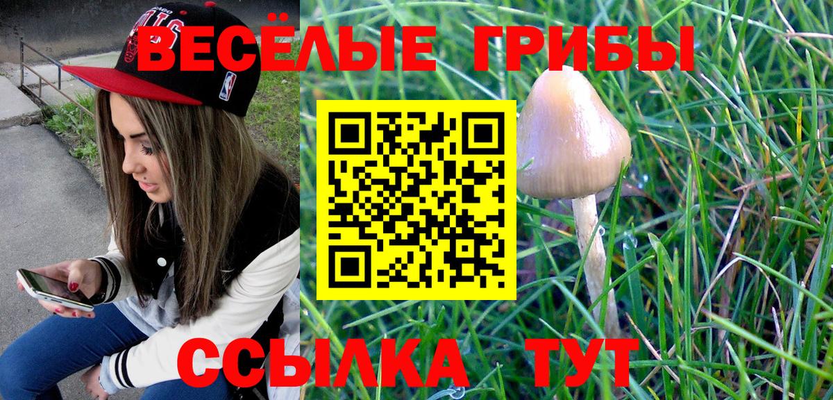 Псилоцибиновые грибы мухоморы  Вход с VPN  Галлюциногенные грибы Psilocybe  Костомукша 